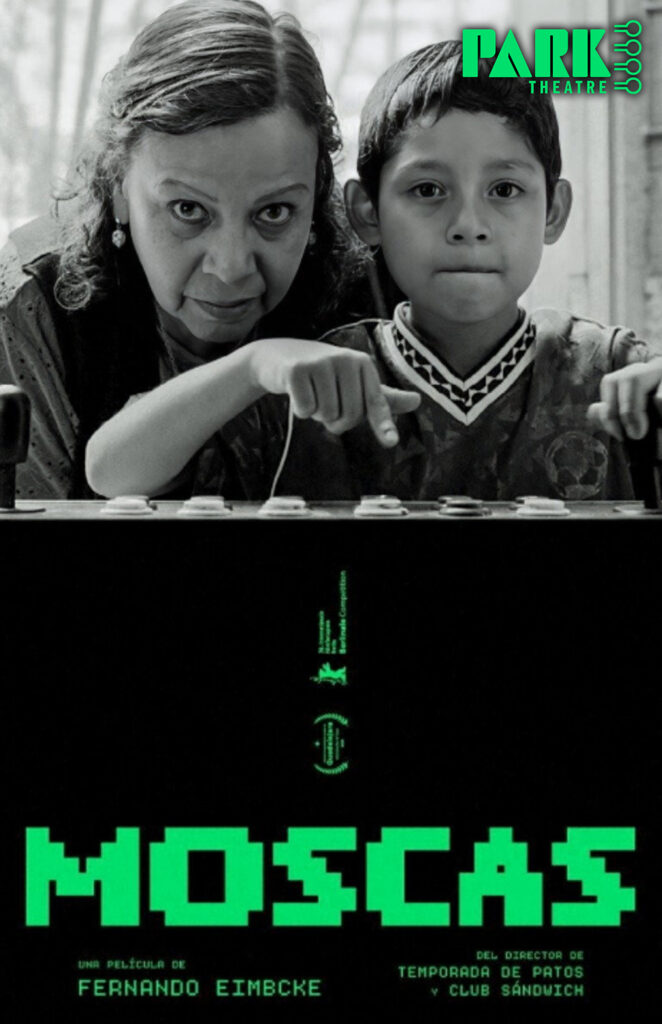 Flies: VIFF 2026